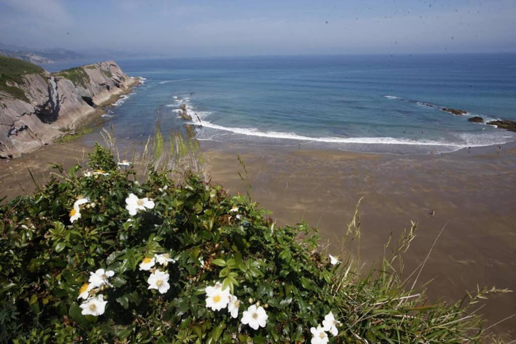 Appartamento 2 Habit, Sala, Terraza, Jardin, Parking Gratis Zumaia Esterno foto